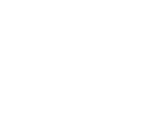 Logo du spectacle aérien international de bagotville